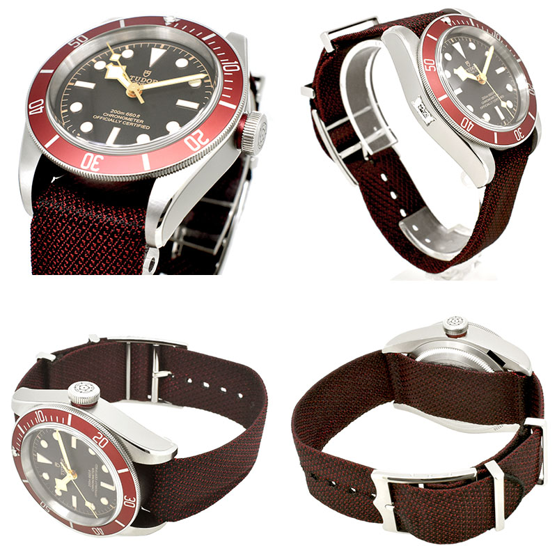 チューダー(チュードル) TUDOR ヘリテージ ブラックベイ 79230R 41mm